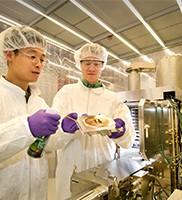 Piezas de enfriamiento de agua del coche FB-12 de la bomba del sello del motor automotriz del reemplazo 4