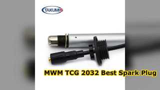 Reemplazo de bujía de precámara MWM TCG 2032 SR6A13