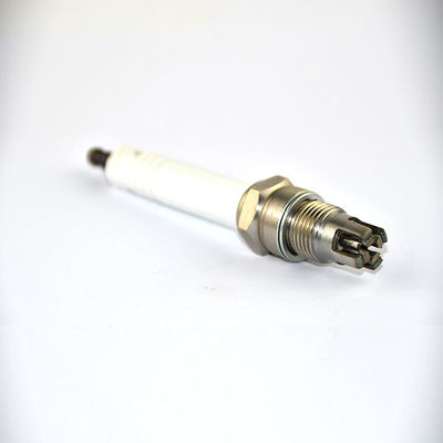 comprar La bujía de la antorcha R10P7 diseñó especialmente hacer juego para jenbach-er Fabricación en línea