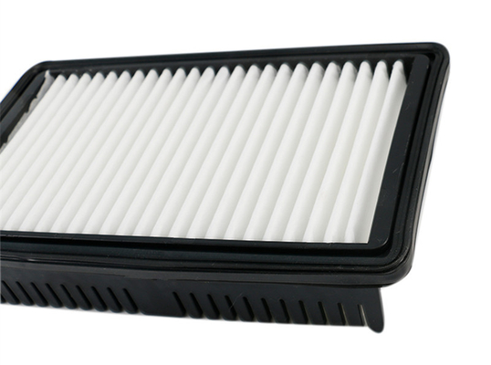 comprar El tamaño estándar del OEM del reemplazo del filtro de aire de la cabina del coche de la filtración substituye para el filtro 28113-F9100 para HYUNDAI i20 Fabricación en línea